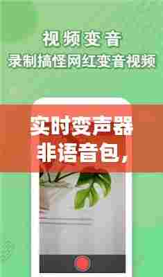 客户案例 第296页