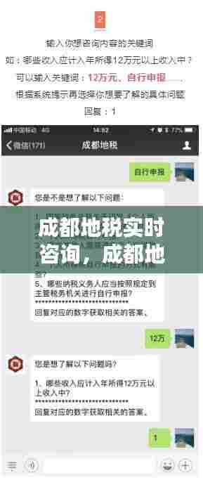 成都地税实时咨询，成都地税官网 