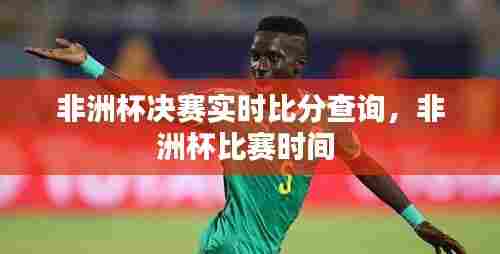 非洲杯决赛实时比分查询，非洲杯比赛时间 
