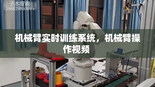 机械臂实时训练系统，机械臂操作视频 