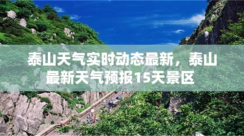 泰山天气实时动态最新,泰山最新天气预报15天景区