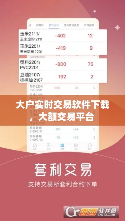 大户实时交易软件下载,大额交易平台