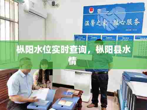 枞阳水位实时查询,枞阳县水情