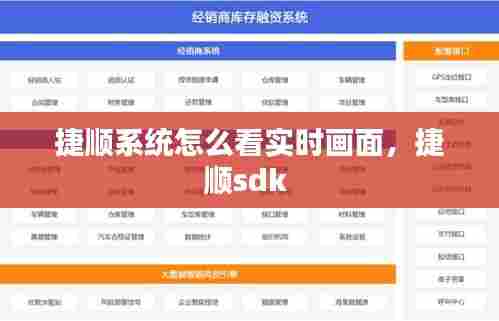 捷顺系统怎么看实时画面，捷顺sdk 