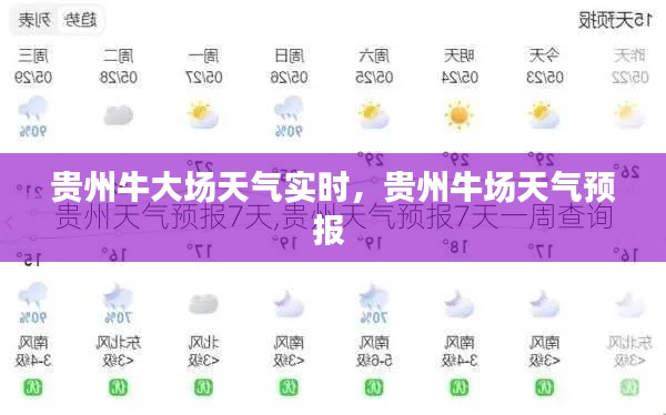 贵州牛大场天气实时，贵州牛场天气预报 