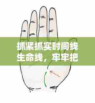 抓紧抓实时间线生命线,牢牢把握生命线