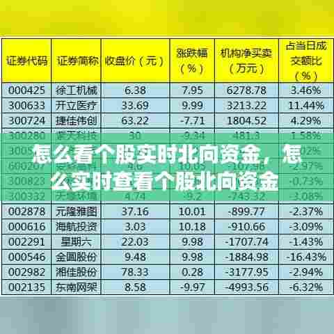 怎么看个股实时北向资金,怎么实时查看个股北向资金