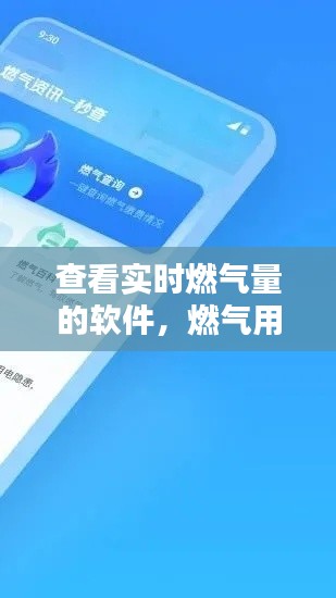 查看实时燃气量的软件,燃气用气量在哪查