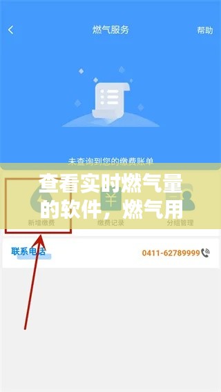 查看实时燃气量的软件,燃气用气量在哪查