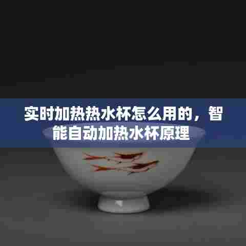 实时加热热水杯怎么用的，智能自动加热水杯原理 