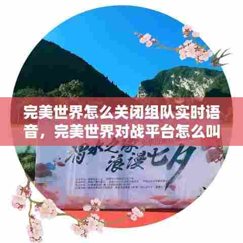 完美世界怎么关闭组队实时语音,完美世界对战平台怎么叫暂停