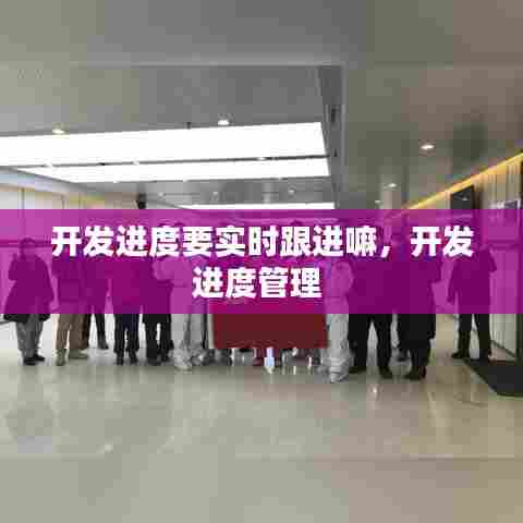 开发进度要实时跟进嘛，开发进度管理 