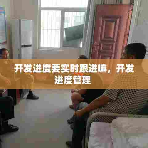 开发进度要实时跟进嘛,开发进度管理