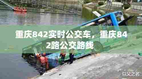 重庆842实时公交车,重庆842路公交路线