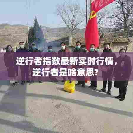 逆行者指数最新实时行情,逆行者是啥意思?