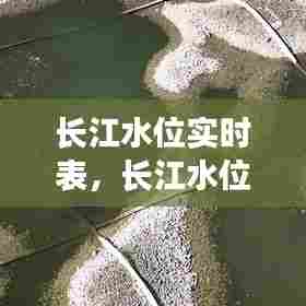 长江水位实时表，长江水位实时表查询 
