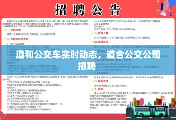 道和公交车实时动态,道合公交公司招聘