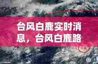 月里嫦娥 第6页