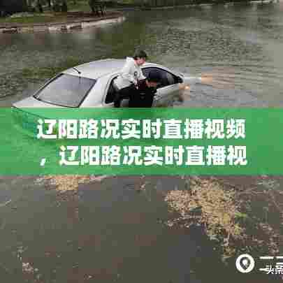 辽阳路况实时直播视频，辽阳路况实时直播视频播放 