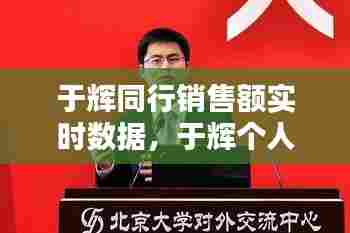 于辉同行销售额实时数据，于辉个人资料 