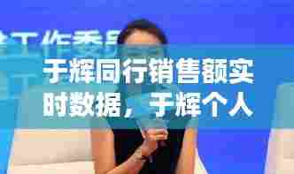 于辉同行销售额实时数据,于辉个人资料