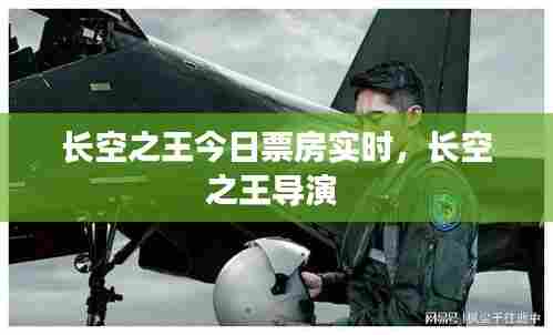 长空之王今日票房实时,长空之王导演