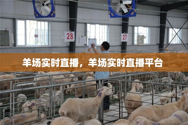 网络推广方案 第290页