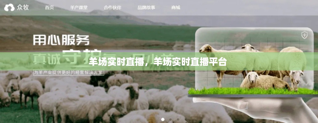 羊场实时直播,羊场实时直播平台