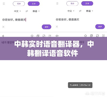 中韩实时语音翻译器,中韩翻译语音软件