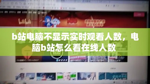 b站电脑不显示实时观看人数,电脑b站怎么看在线人数