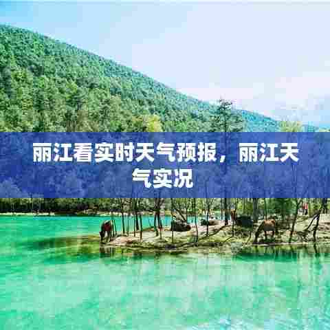 丽江看实时天气预报,丽江天气实况