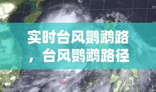 实时台风鹦鹉路,台风鹦鹉路径实时