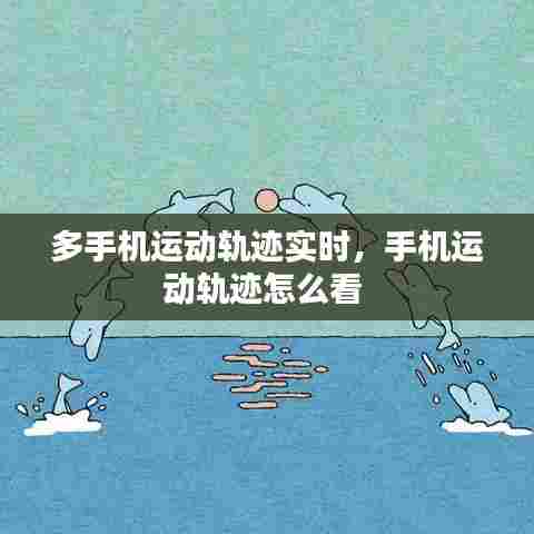 多手机运动轨迹实时,手机运动轨迹怎么看