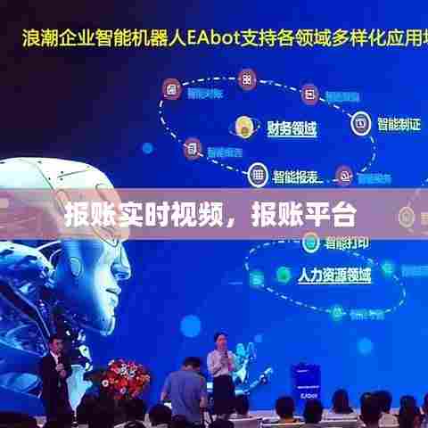 报账实时视频，报账平台 