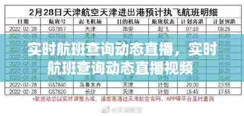 实时航班查询动态直播，实时航班查询动态直播视频 