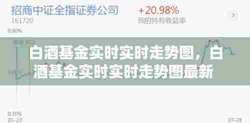 白酒基金实时实时走势图，白酒基金实时实时走势图最新 