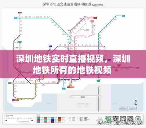 深圳地铁实时直播视频,深圳地铁所有的地铁视频