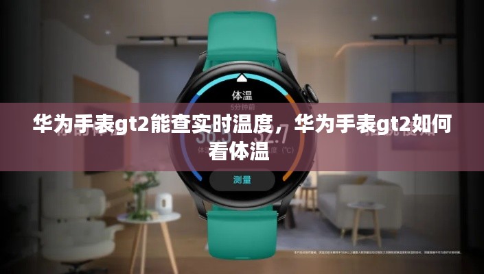 华为手表gt2能查实时温度,华为手表gt2如何看体温