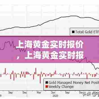 上海黄金实时报价，上海黄金实时报价今日价格 