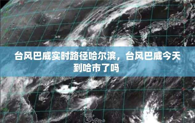 台风巴威实时路径哈尔滨,台风巴威今天到哈市了吗
