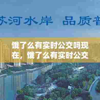 饿了么有实时公交吗现在，饿了么有实时公交吗现在还有吗 