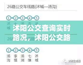 沭阳公交查询实时路况，沭阳公交路线图 