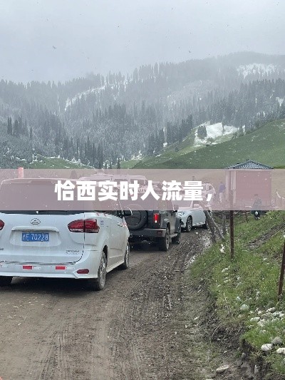 恰西实时人流量,