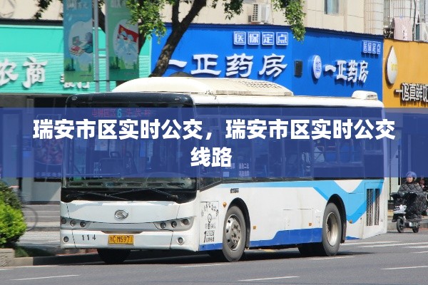 瑞安市区实时公交，瑞安市区实时公交线路 