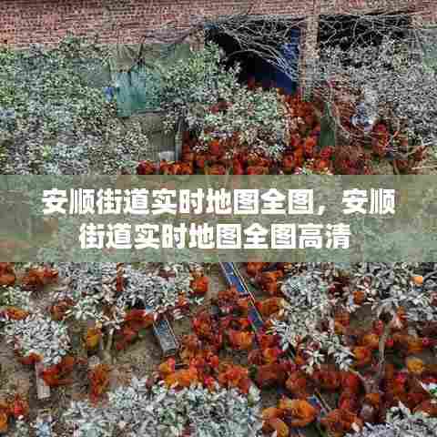 安顺街道实时地图全图，安顺街道实时地图全图高清 