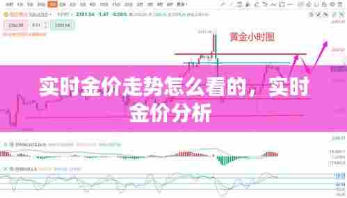 伤弓之鸟 第7页