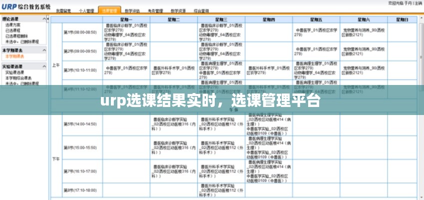 urp选课结果实时,选课管理平台