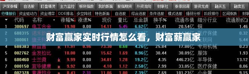 财富赢家实时行情怎么看,财富薪赢家