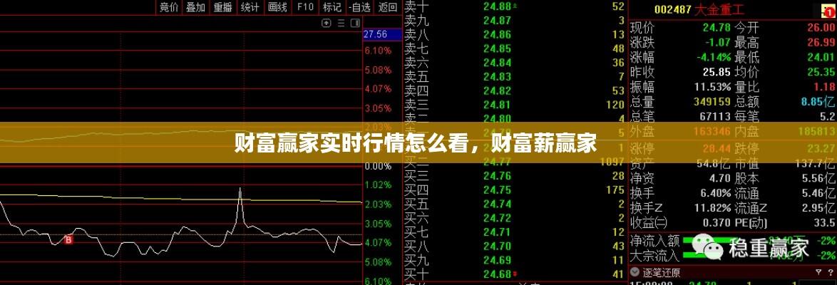财富赢家实时行情怎么看,财富薪赢家