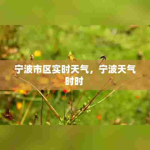 宁波市区实时天气,宁波天气时时